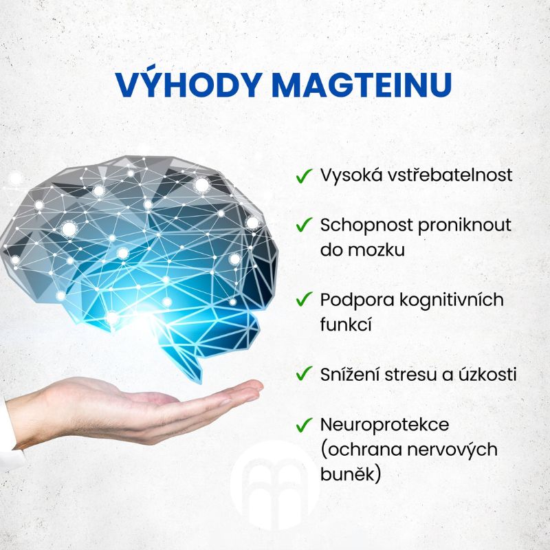 magtein - info